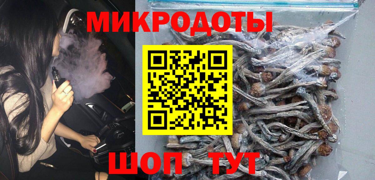 Галлюциногенные грибы MAGIC MUSHROOMS  Вход с VPN  Качканар 