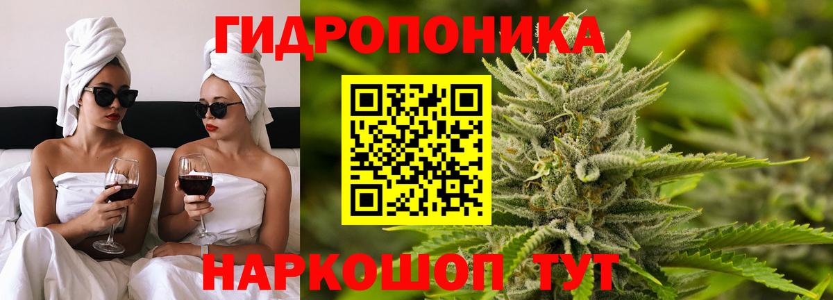 Конопля SATIVA & INDICA  Бошки марихуана марихуана  Качканар  Канабис SATIVA & INDICA  Вход с VPN 